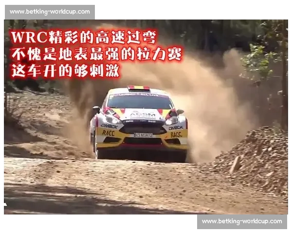 WRC集锦：每一次过弯，都是对生命的考验